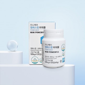 MSM 파워풀 120정