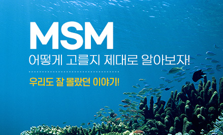MSM 알아보기